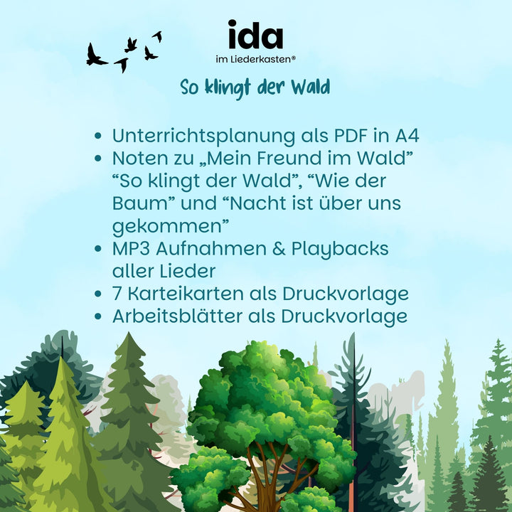 So klingt der Wald (Stundenbild)