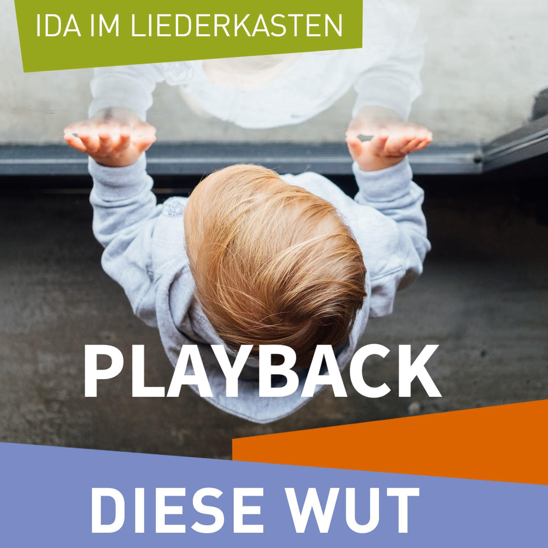 Diese Wut (Playback MP3)