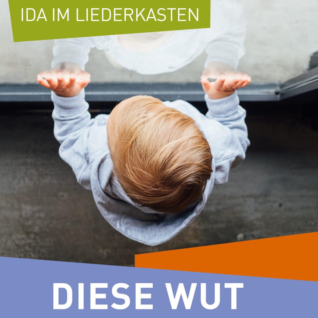 Diese Wut (MP3)