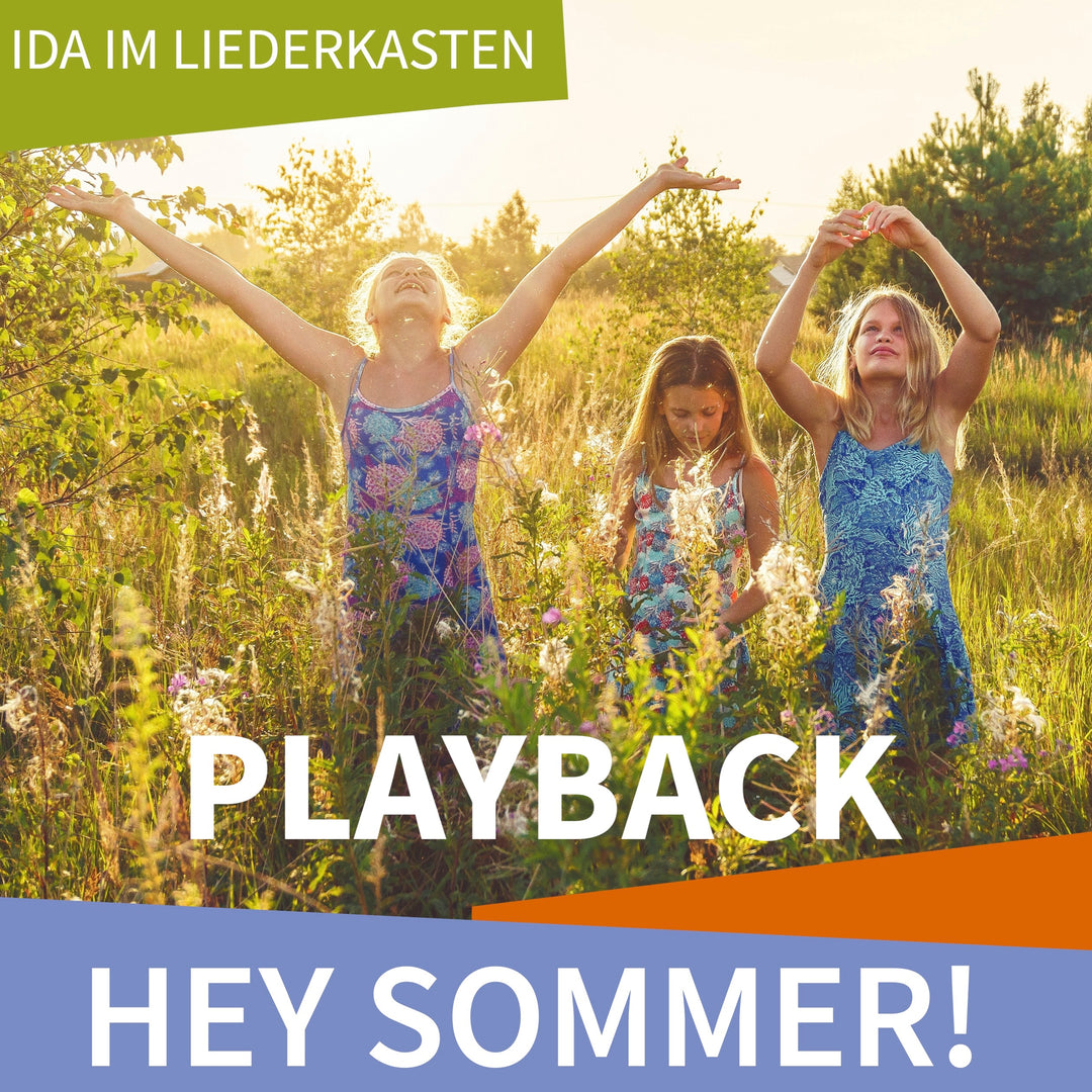 Hey Sommer (Playback MP3)