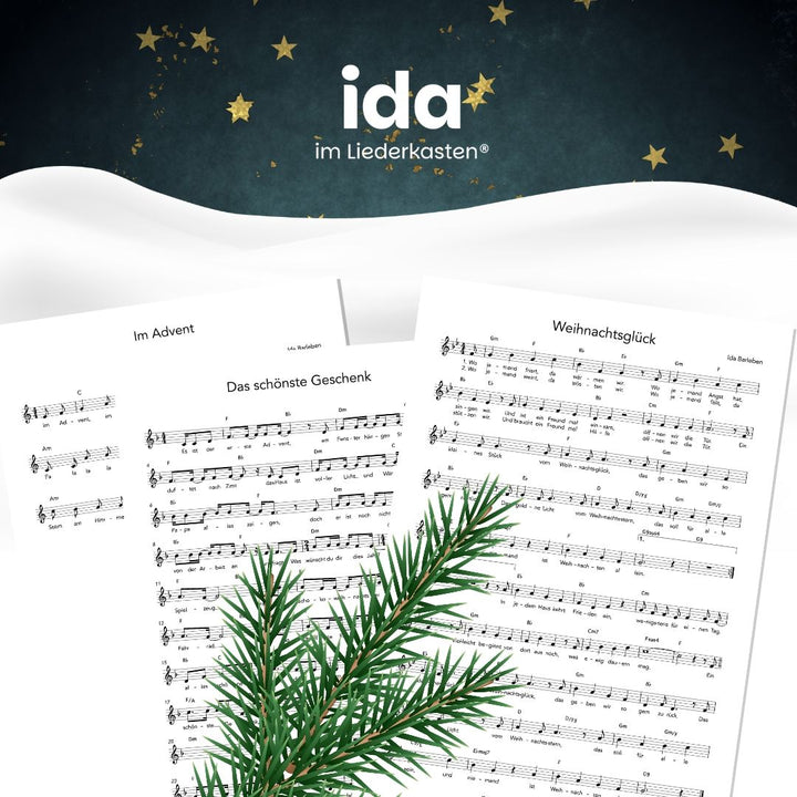 Weihnachtslieder (Leadsheet Notenbundle)