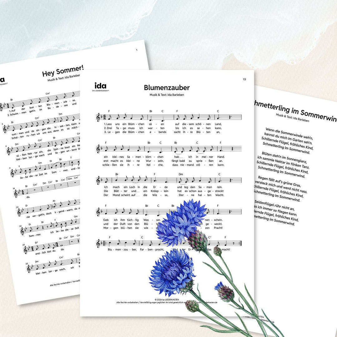 Sommerlieder (Leadsheet Notenbundle)