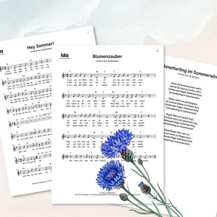 Sommerlieder (Leadsheet Notenbundle)