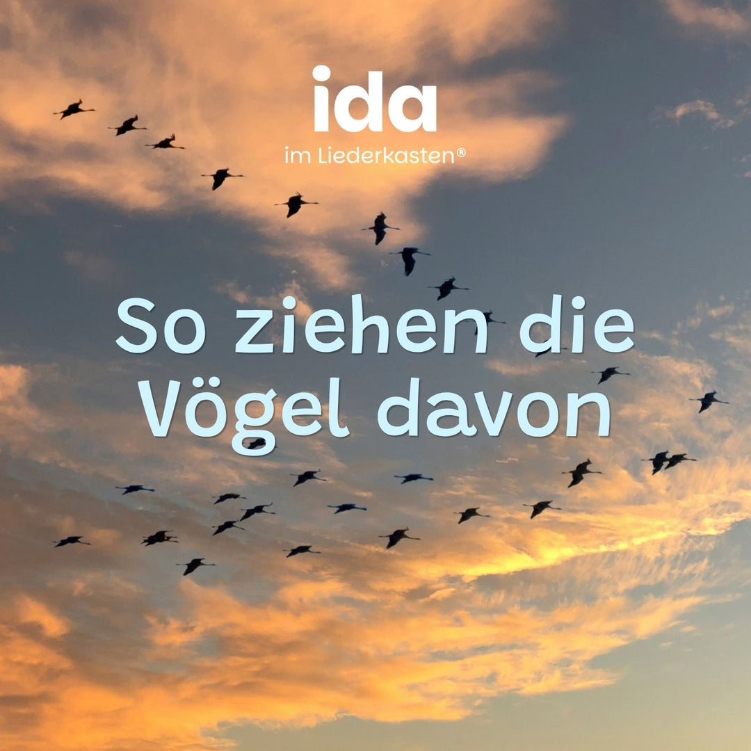 So ziehen die Vögel davon (MP3)