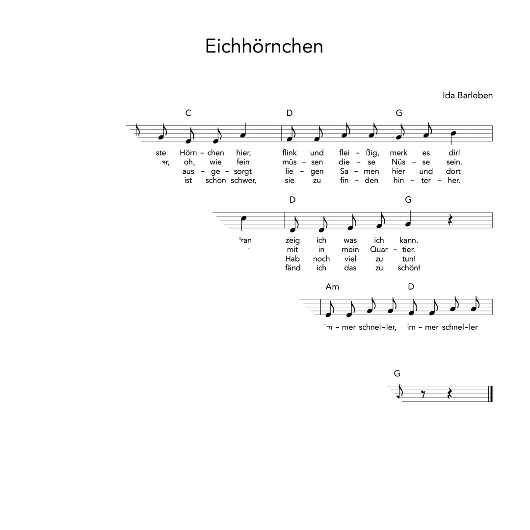 Eichhörnchen