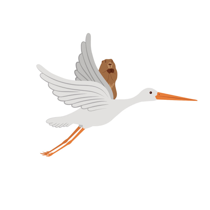 Das fliegende Murmeltier