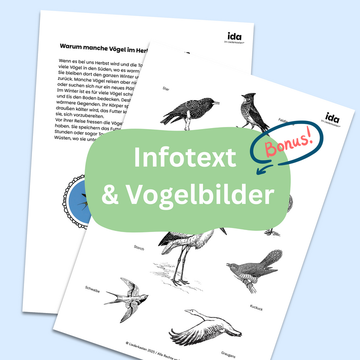 So ziehen die Vögel davon